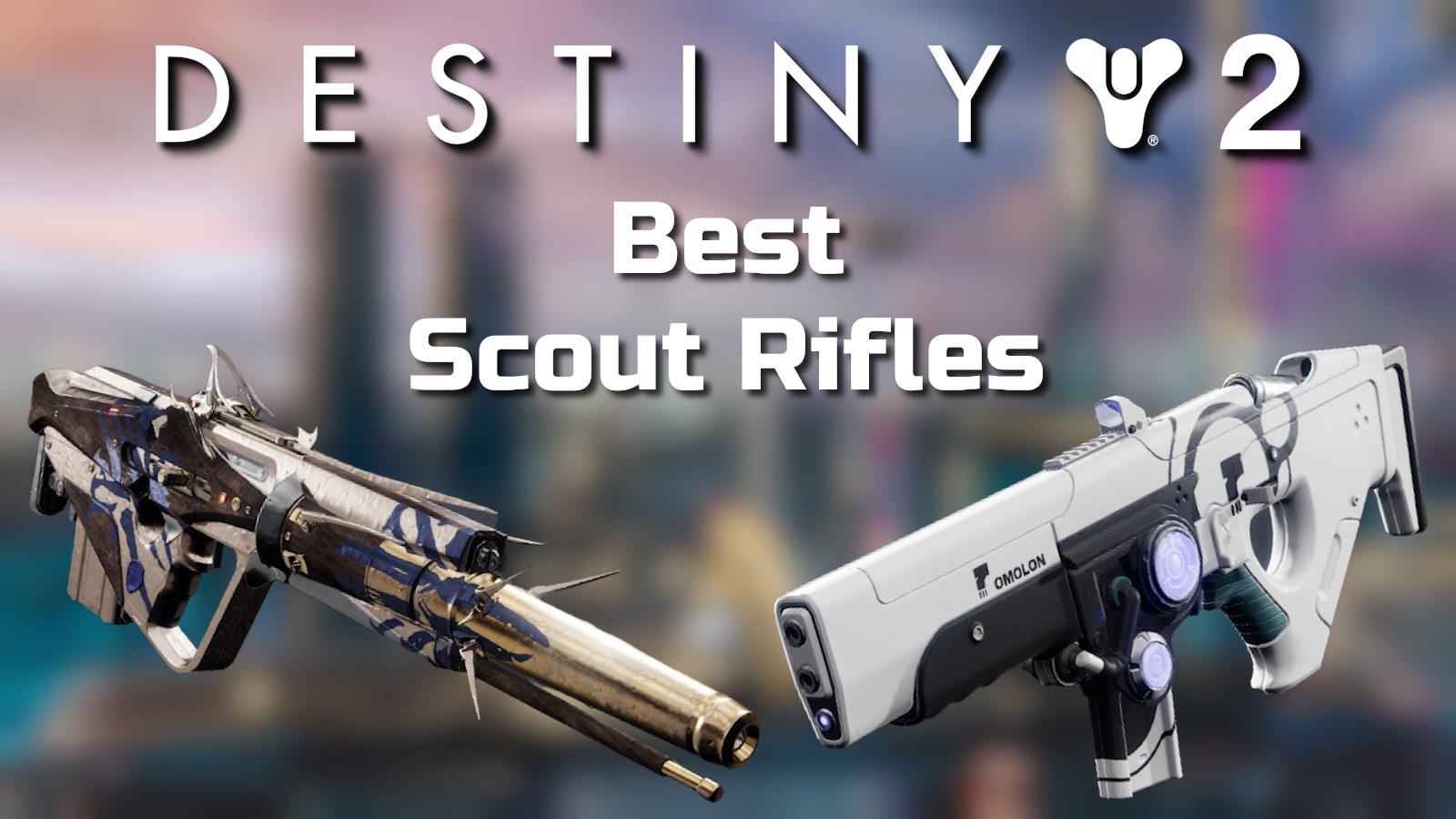 The best Scout Rifles to use in Destiny 2, with Hung Jury and Tarnished Mettle.
