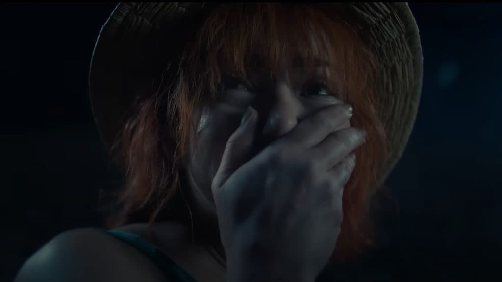 An image of Nami wearing Luffy's straw hat in One Piece live-action like anime