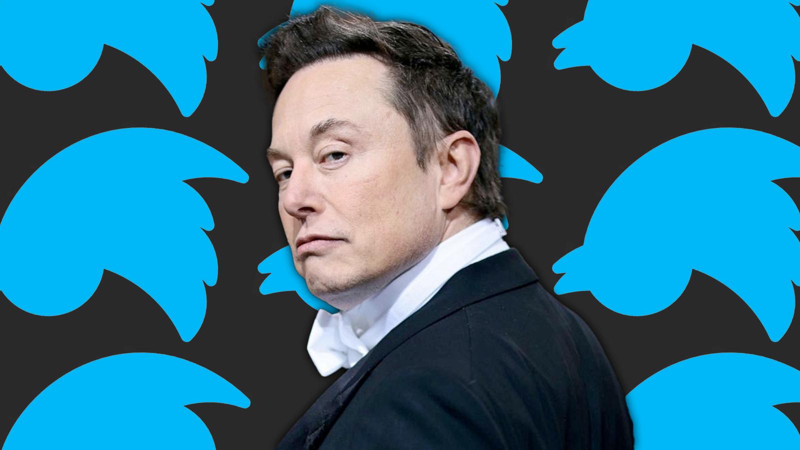 Elon Musk with Twitter birds behind it