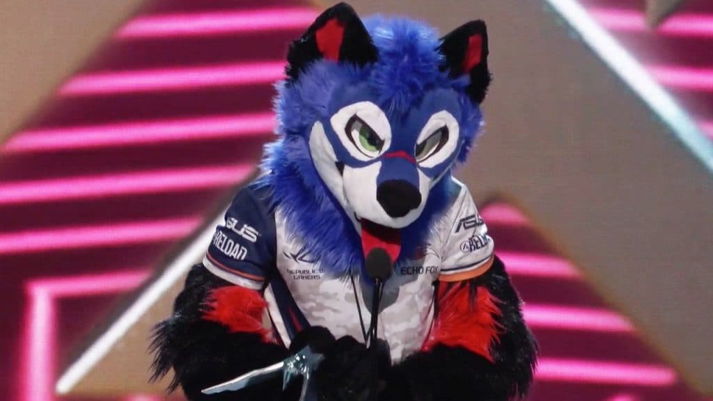 An image of Sonicfox from The Game Awards