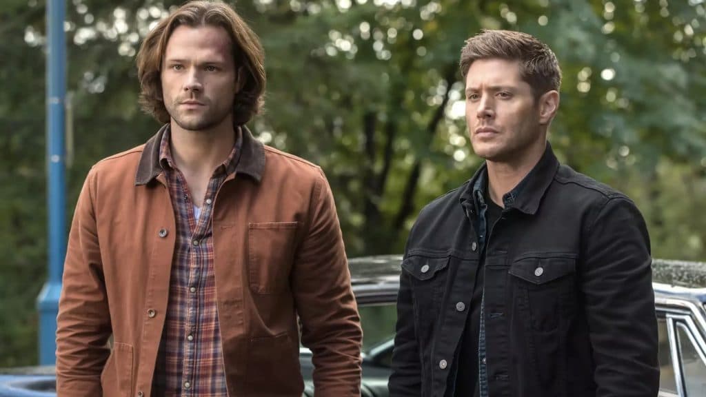 The Winchester brothers in Supernatural.