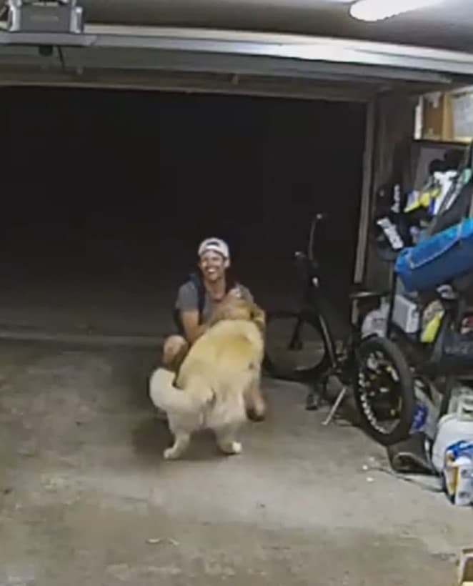 Man cuddles dog while stealing bike