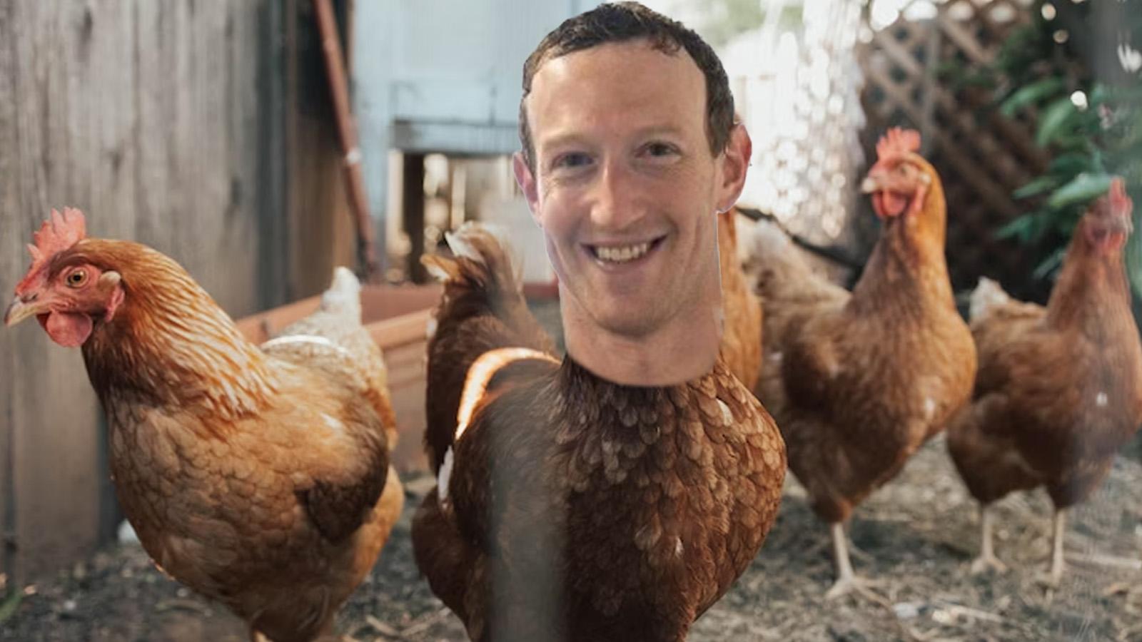 Elon Musk calls Mark Zuckerberg a chicken after Meta CEO claims fight isn't happening