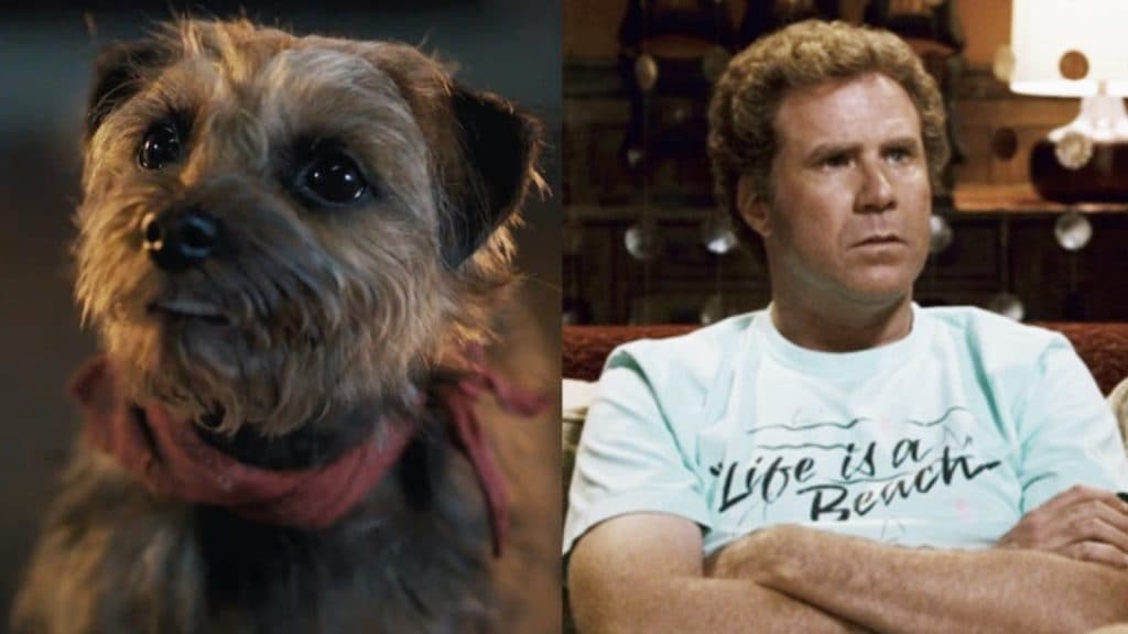 Still from Strays and Will Ferrell in Step Brothers