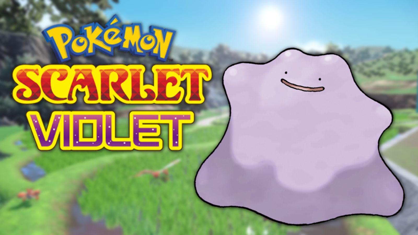 Pokémon Scarlet e Violet: Onde encontrar Ditto