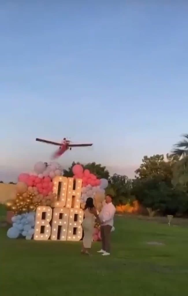 plane gender reveal party gone wrong pilot dies