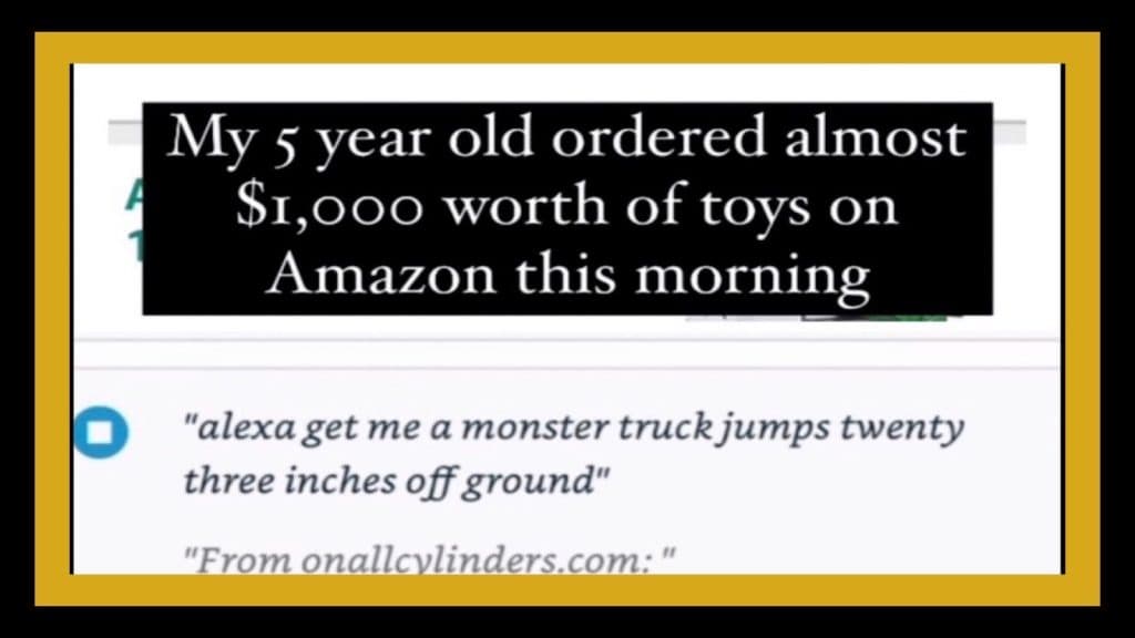 Toddler orders $1,500 worth of toys and a hot tub off of Amazon via Alexa.
