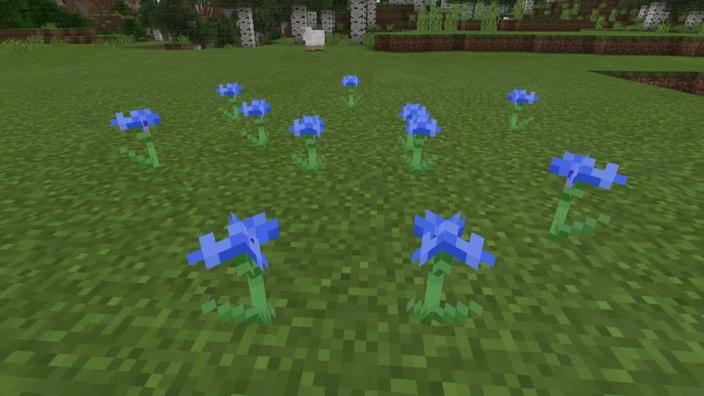 Minecraft Cornflower