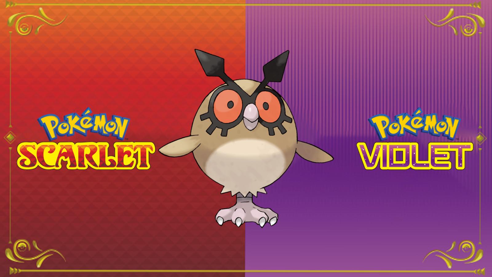 Hoothoot Pokemon Scarlet and Violet