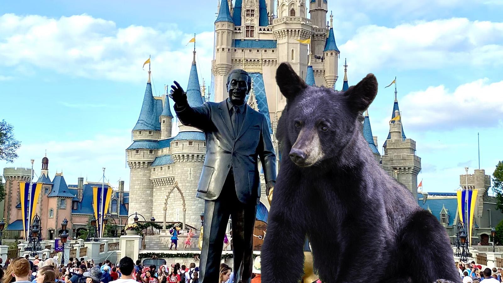 Disney World attracts unexpected visitor as wild bear breaks into theme park
