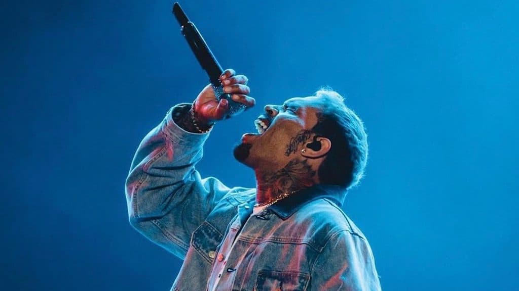 Chris Brown has owed the bank over $1M since 2018.