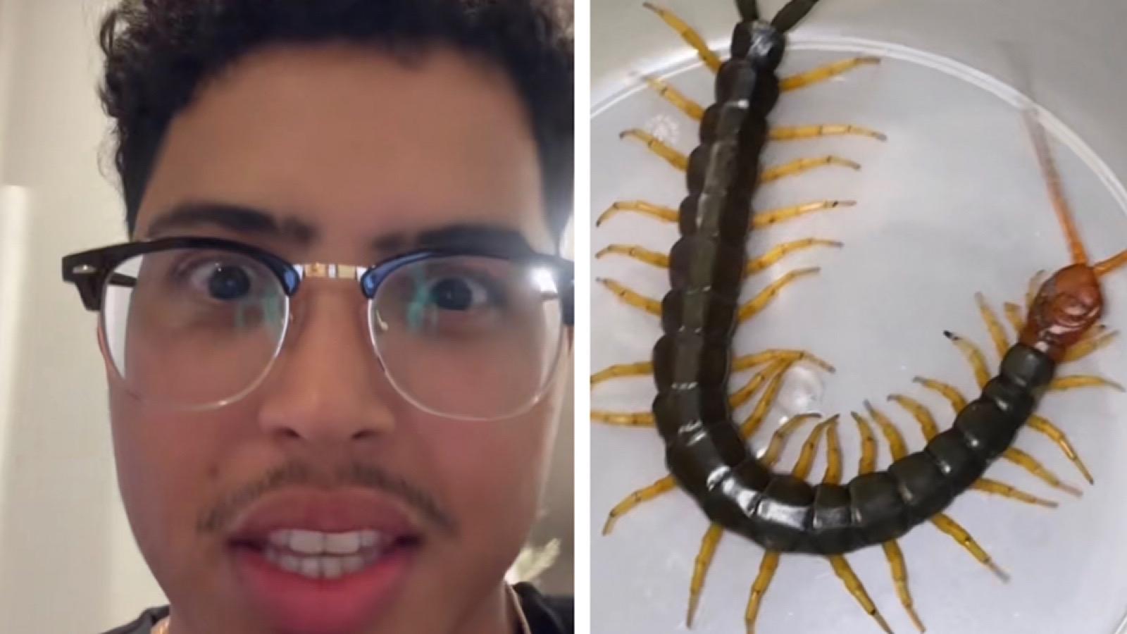 tiktoker found giant centipede in his new robot vacuum