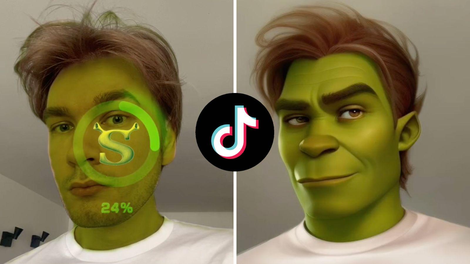 TikTok user trying Shrek AI filter