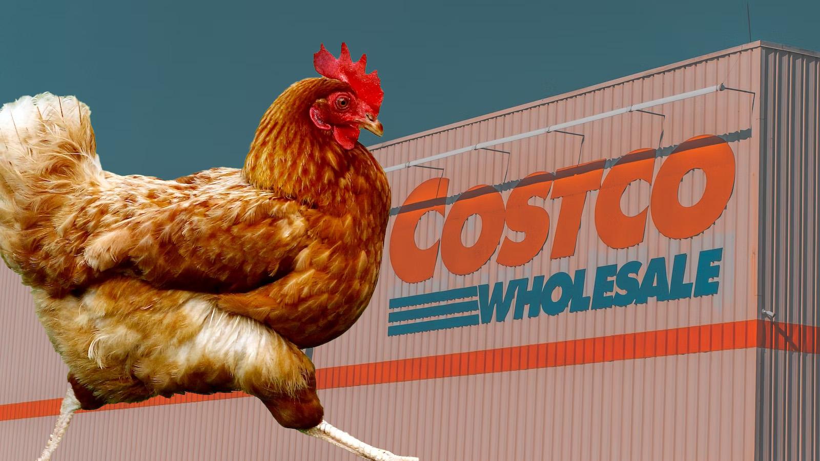Costco “super-fans” discover rotisserie chicken secret after visiting 200 stores