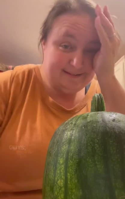 Watermelon is squash