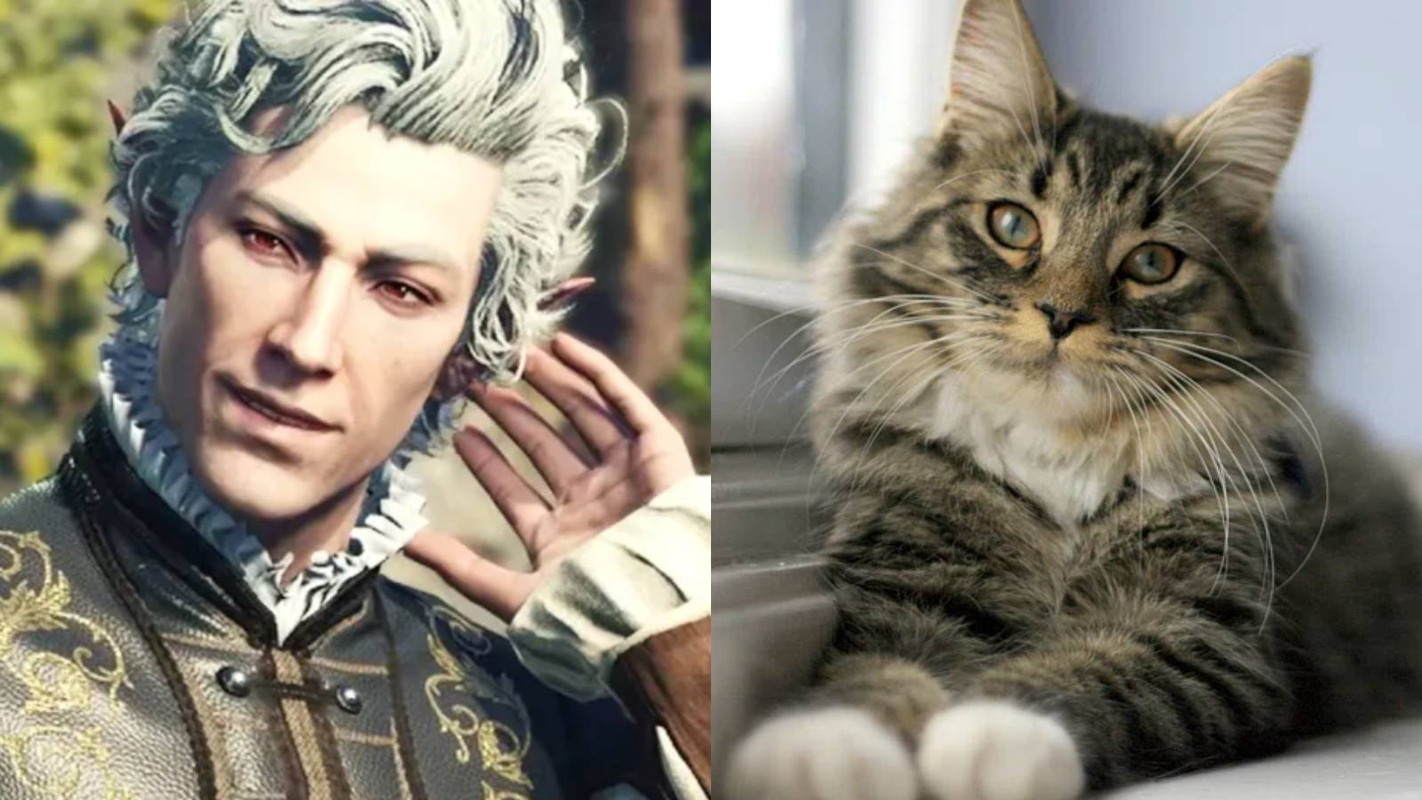 Giving Character to Fictional Cats