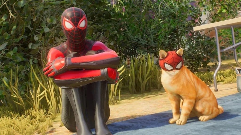 Spider-Man 2 Bodega Cat