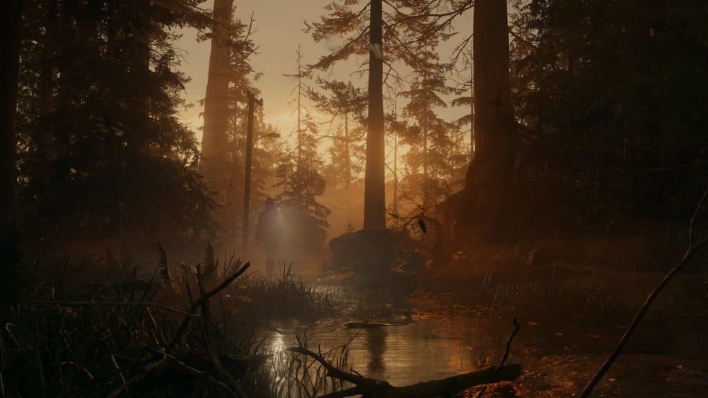 An FBI agent explores the woods in Alan Wake 2