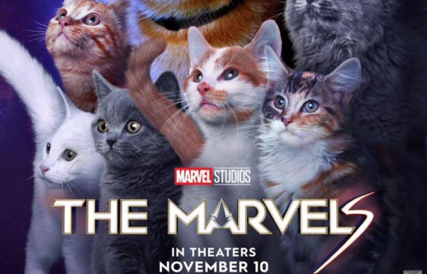 Cat poster for The Marvels