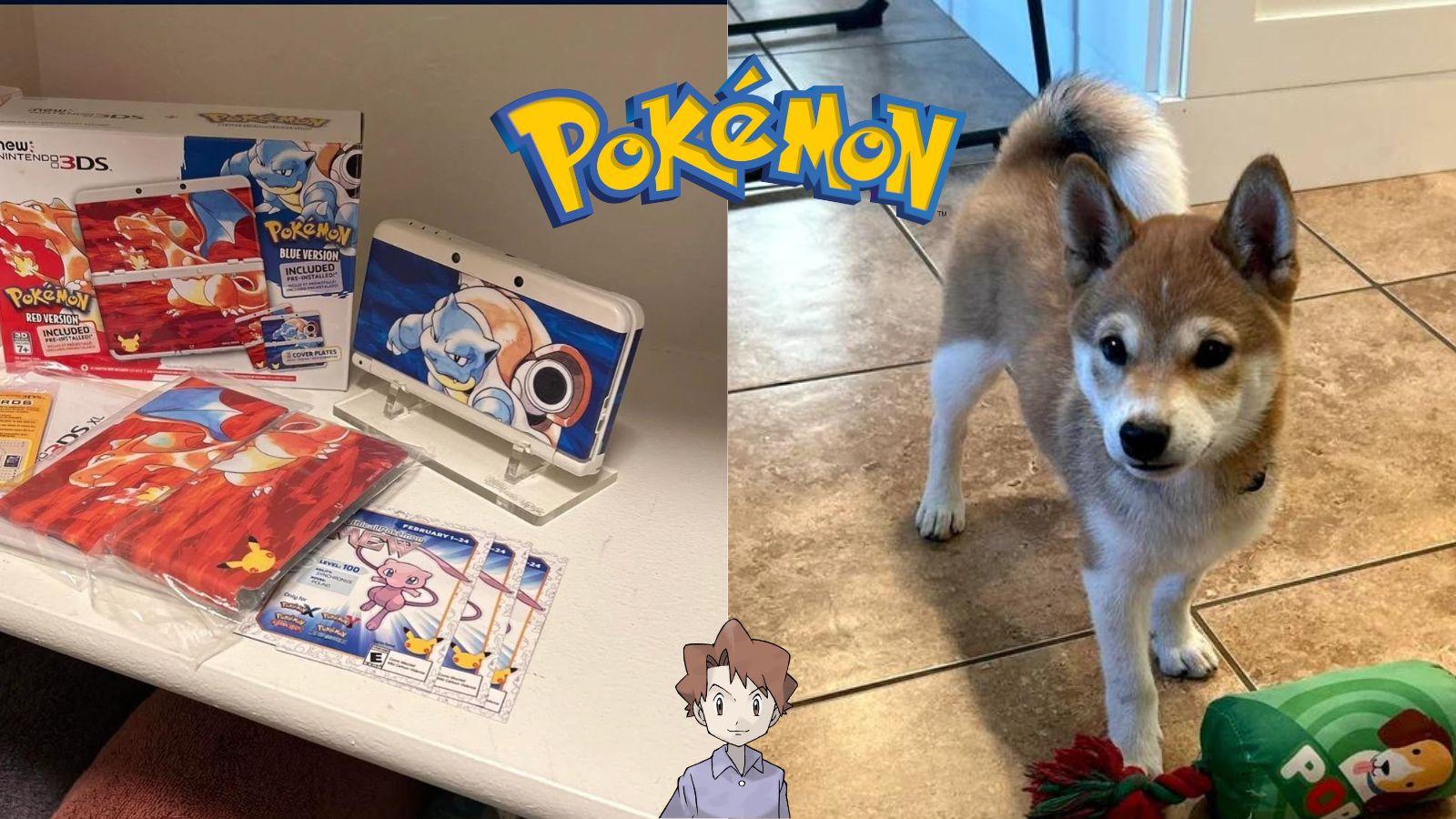 A Pokemon 20th Anniversary 3DS and a Shiba Inu