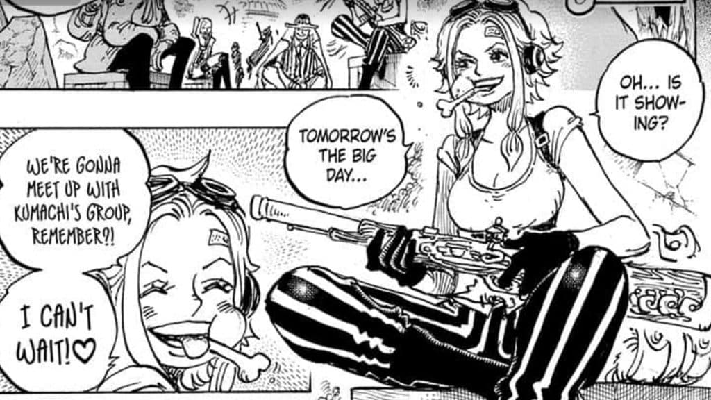 An image of Ginny from One Piece manga