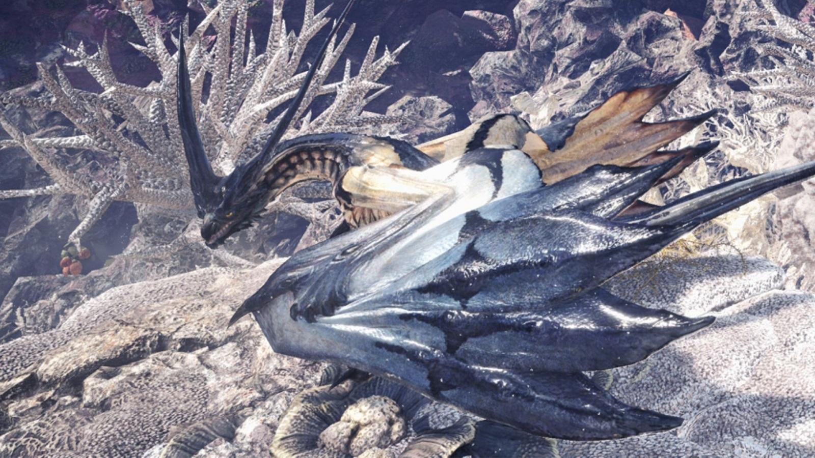 Legiana in the Coral Highlands