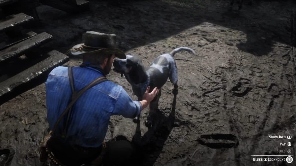 Petting a dog in rdr2