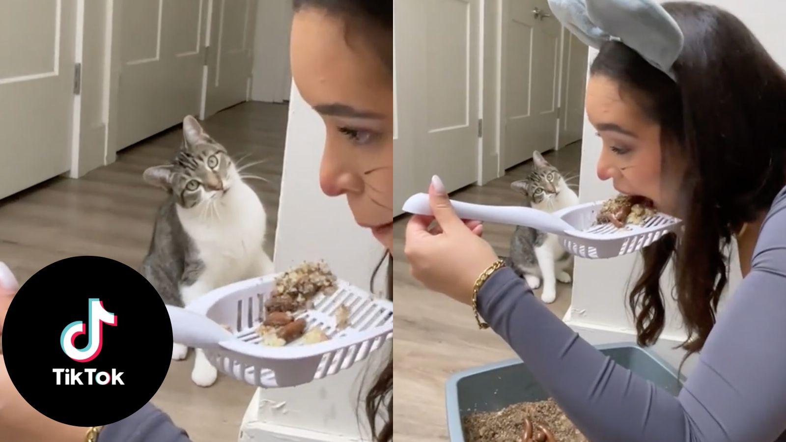 TikToker pranks cat by pretending to eat from litter box