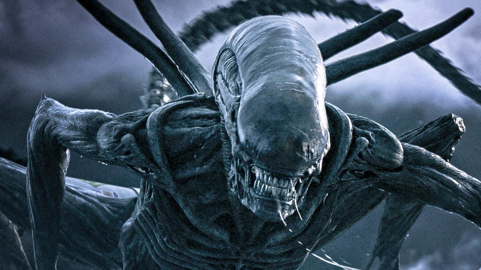 A xenomorph in Alien: Covenant