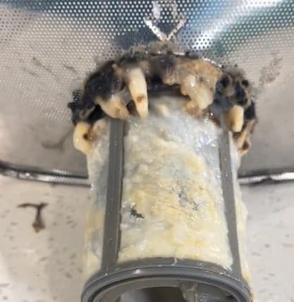 Dirty dishwasher filter