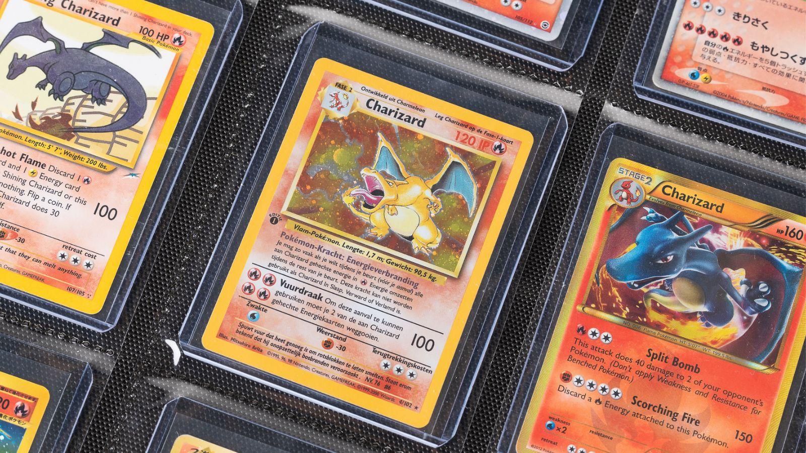 Charizards in top loaders in a display binder