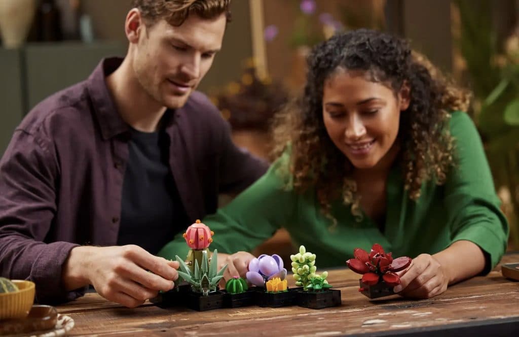 Two adults arranging the LEGO Icons Succulents set.