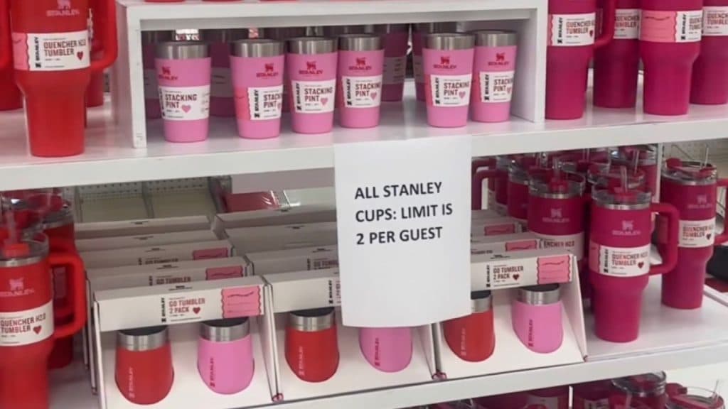 target v-day stanley collection