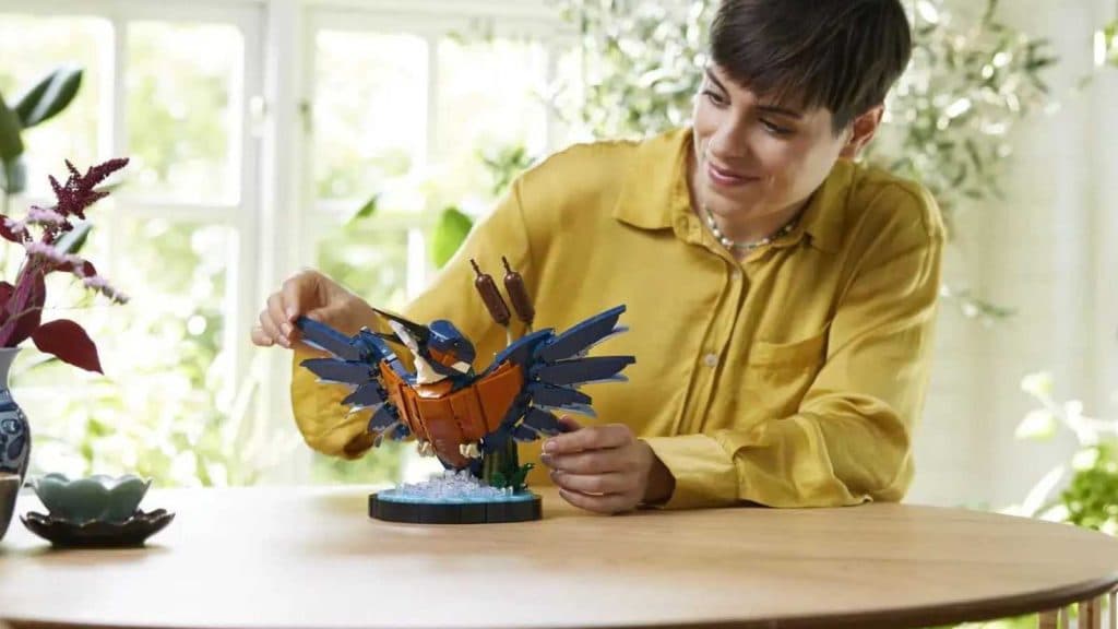 An adult admiring their LEGO Icons Kingfisher Bird set.