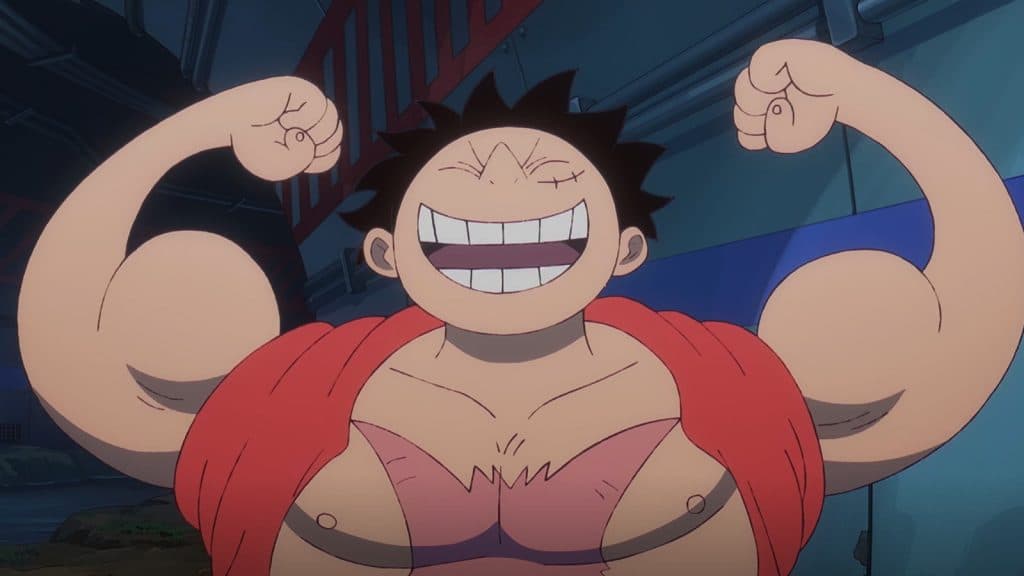 How Many Filler Episodes Are In One Piece?
