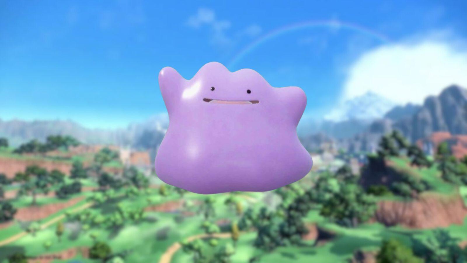 Ditto celebrates as the reason for a new duplication glitch