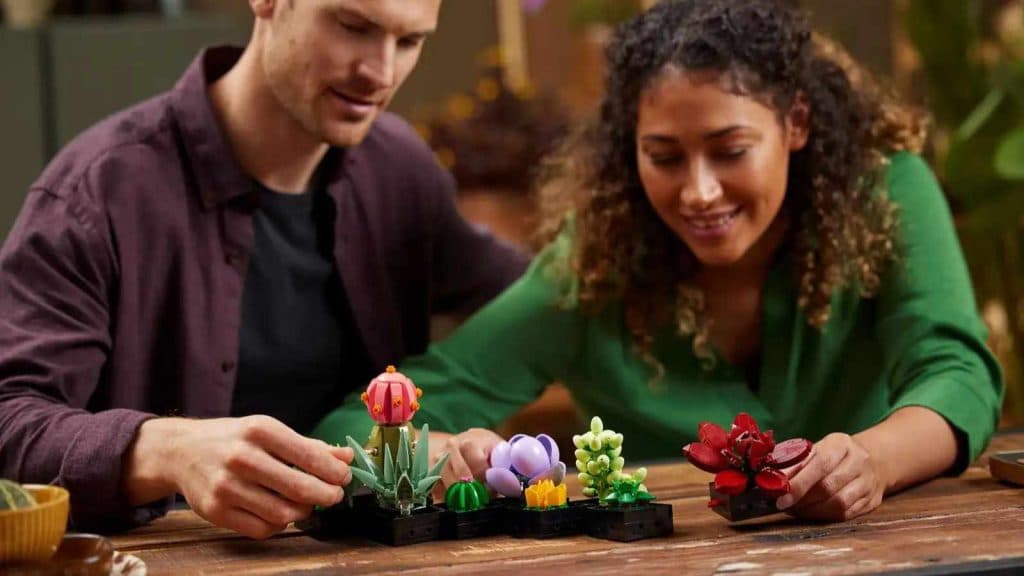 Two adults arranging their LEGO Icons Succulents set
