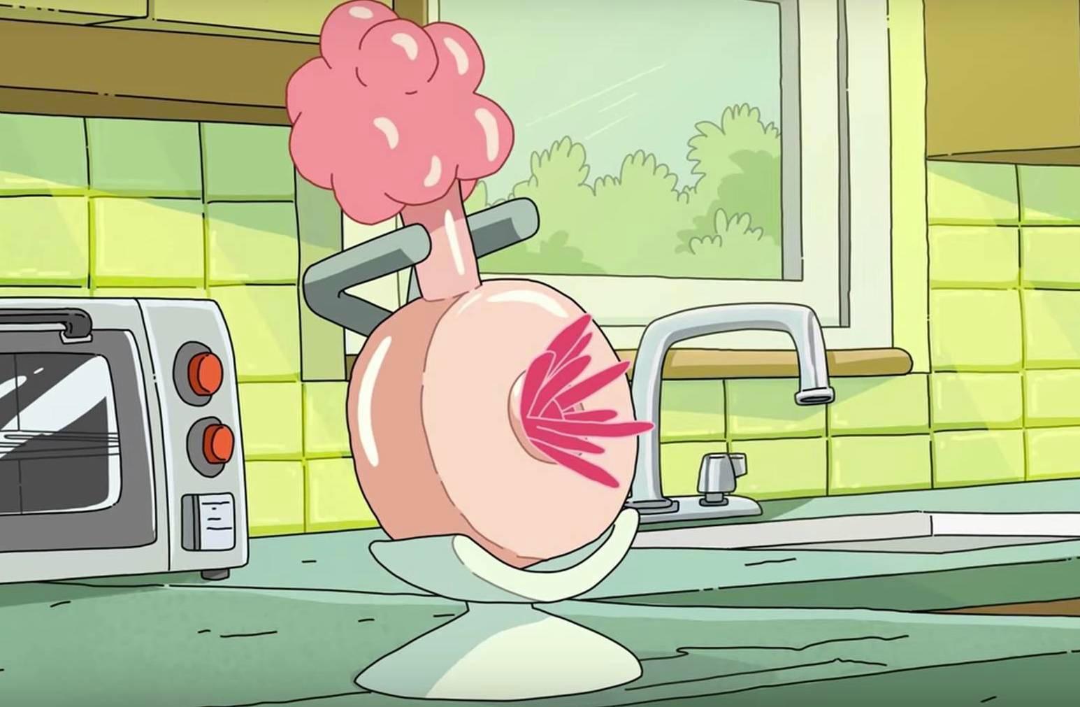 A plumbus from Rick and Morty. 