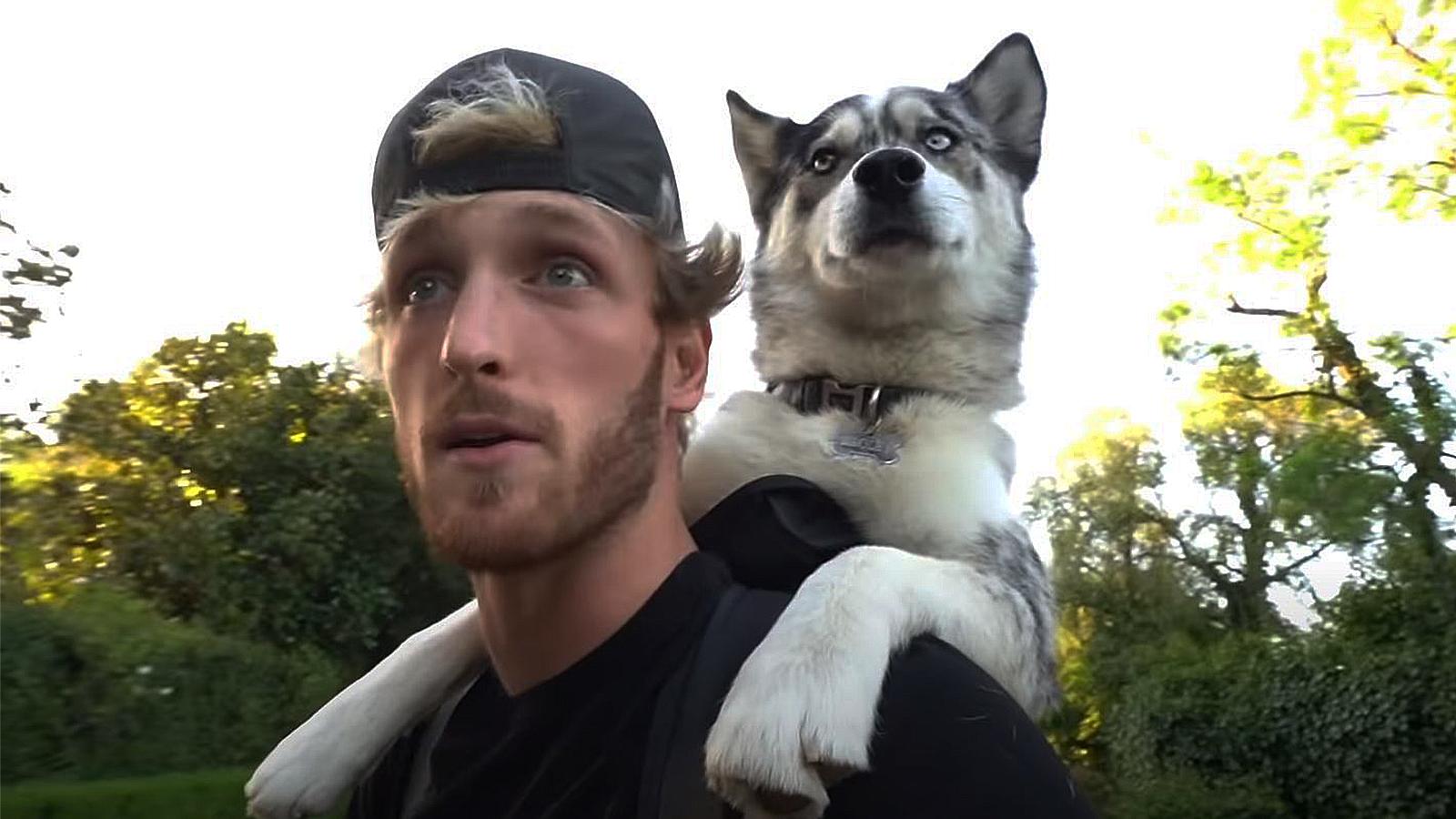 Logan Paul rides a skateboard with his dog Broley.