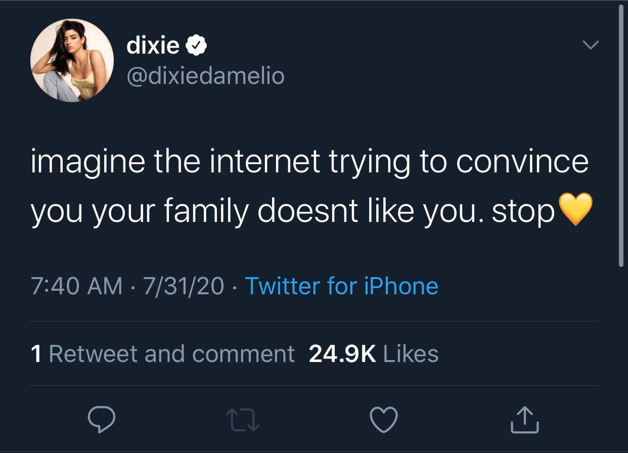 Dixie D'Amelio defends family in tweet