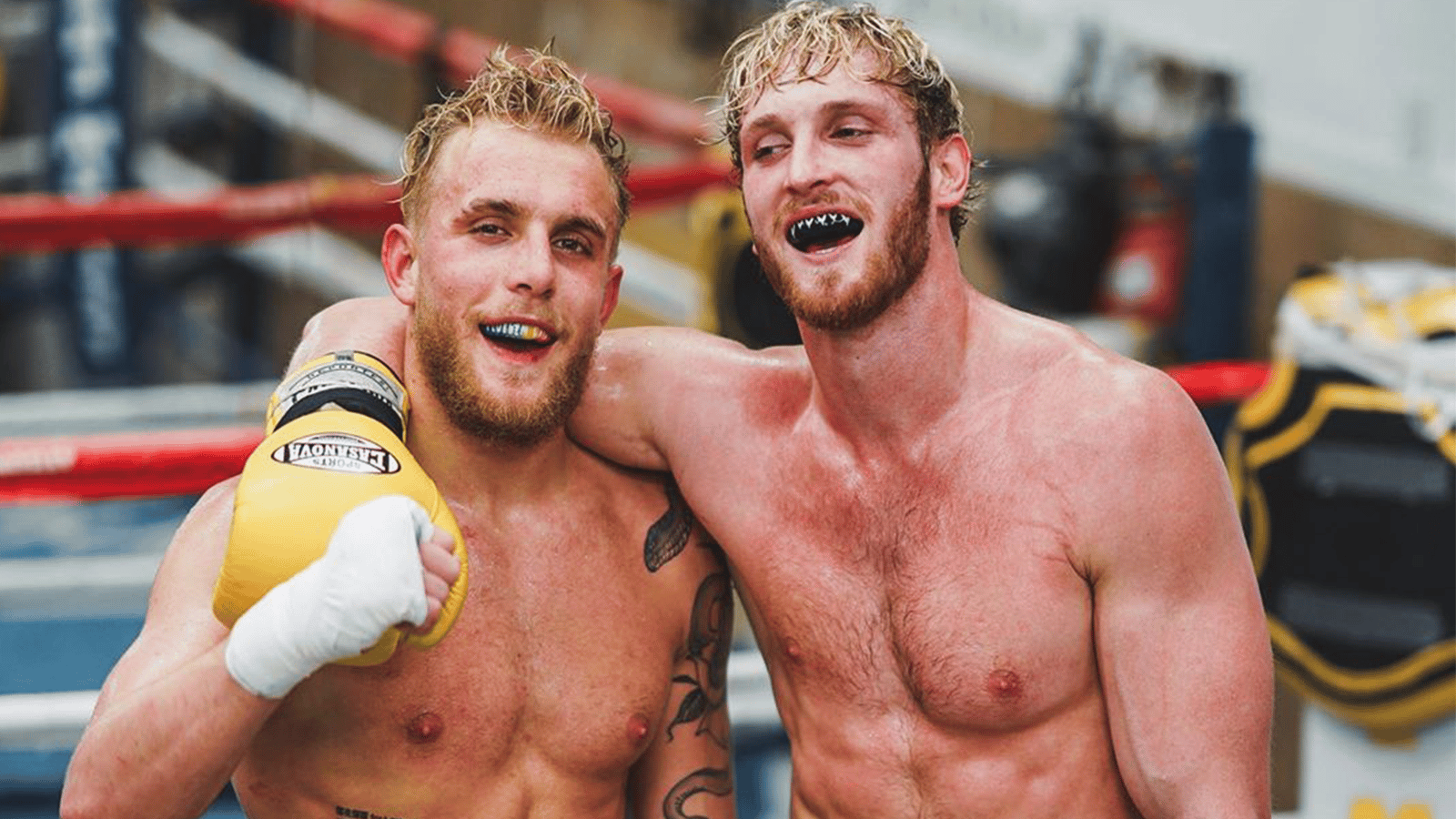Jake Paul and Logan Paul boxing Youtubers