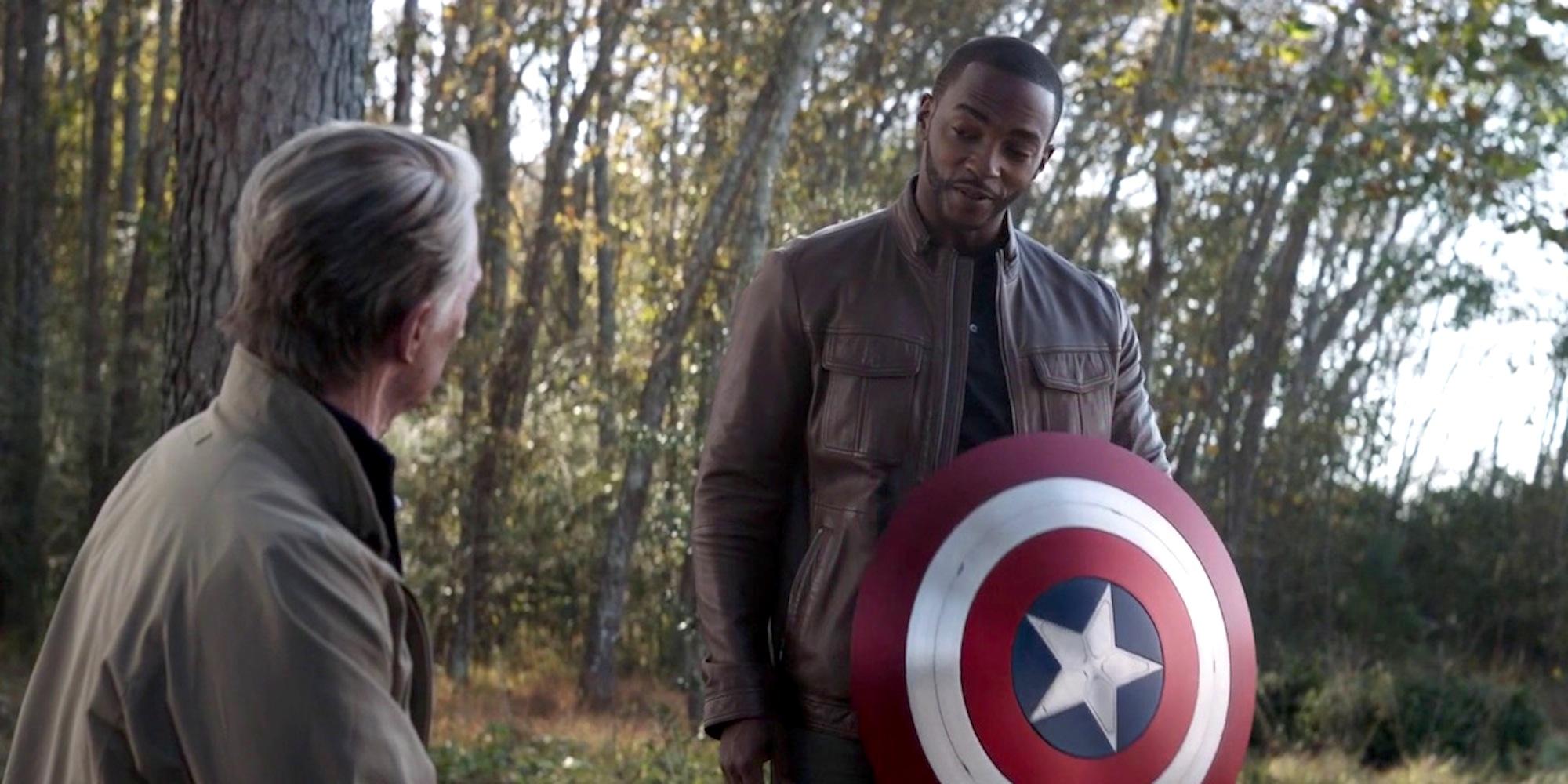 Steve Rogers made Sam Wilson the new Captain America in Avengers: Endgame.
