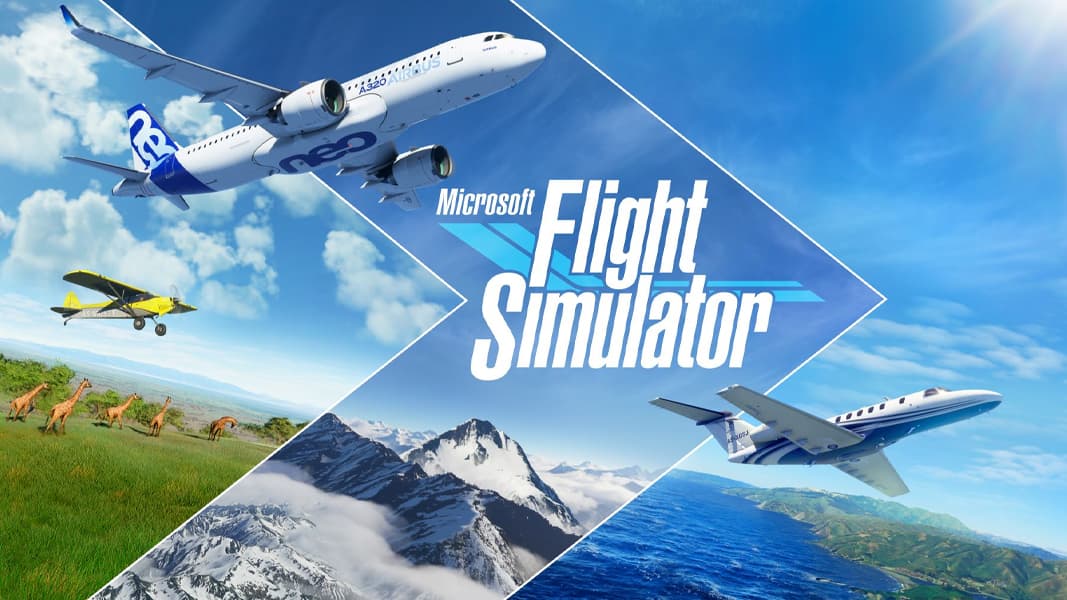 Flight Simulator poster