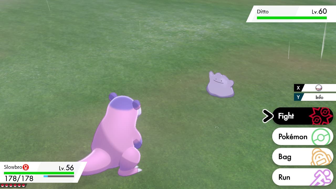Capturing Ditto