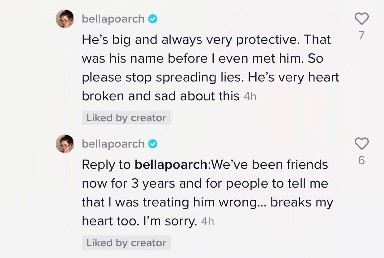 Bella Poarch explains the accusations against her in a TikTok comment.