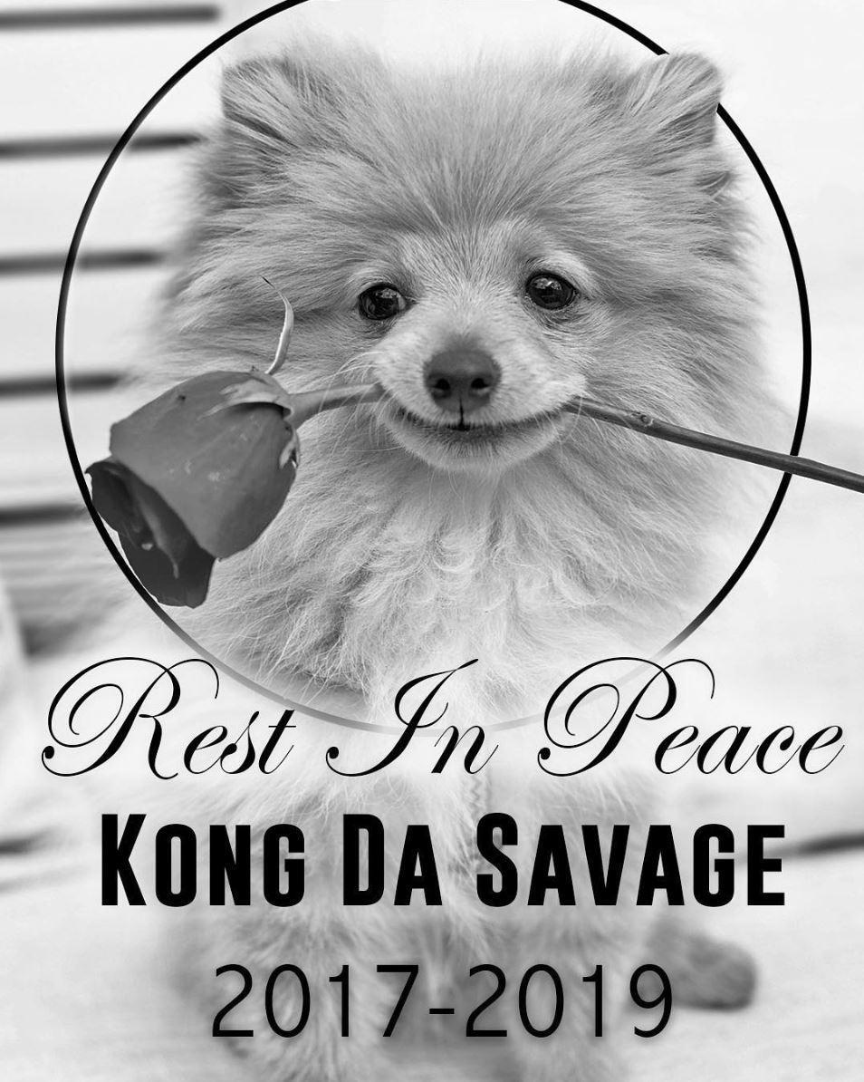Kong Da Savage, Instagram