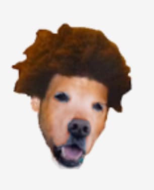 A modified Trihard dog emote from Alecludford
