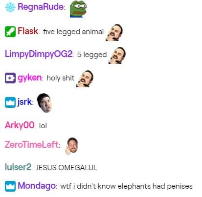 5-legged elephant twitch chat