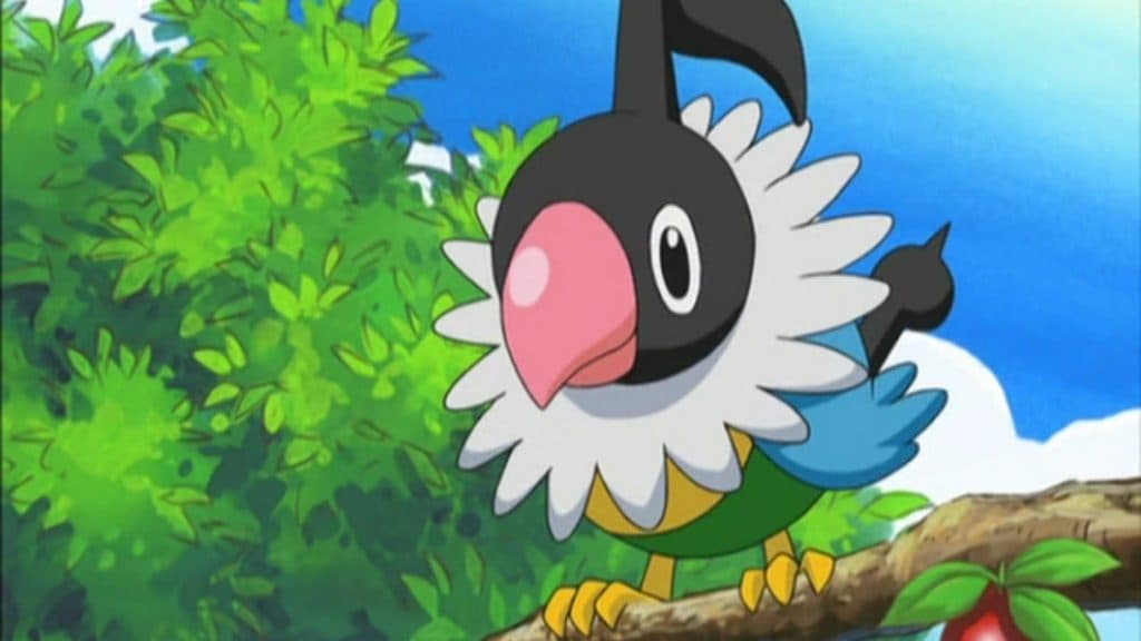 Chatot from the Pokemon anime