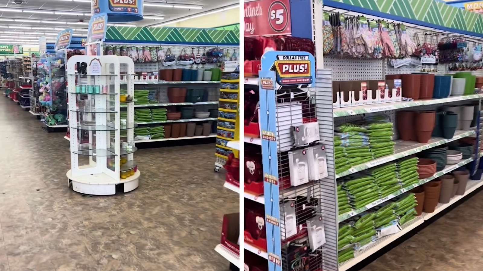 clean and organized dollar tree